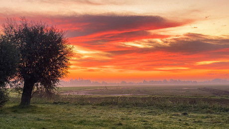 Zonsopkomst als een schilderij