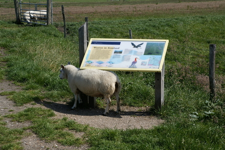 Jeuk in Eemland