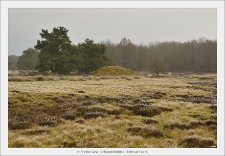 Schaopedobbe - Elsoo - Friesland