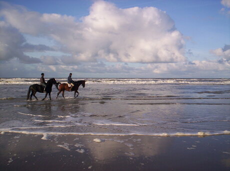 paardrijden aan het strand