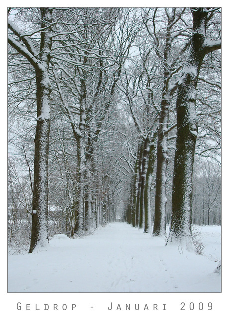 Sneeuw in Geldrop 5