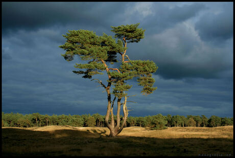 Donkere wolken boven Heidestein 2