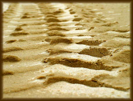 sporen in het zand