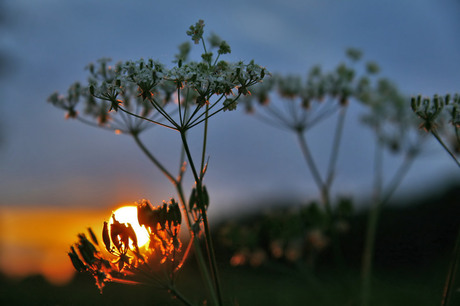 Zonsondergang