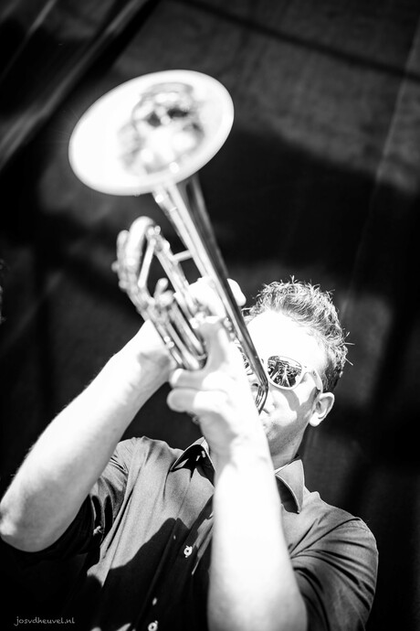 Dave de trompettist