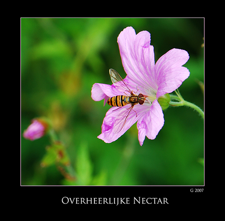 overheerlijke nectar