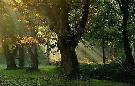 Herfst zoals herfst kan zijn....