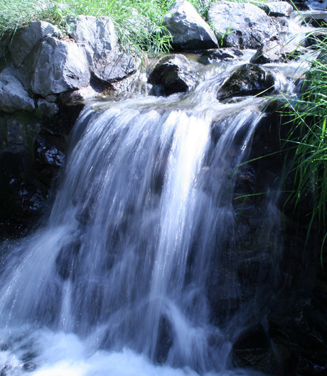 waterval in burgers zoo