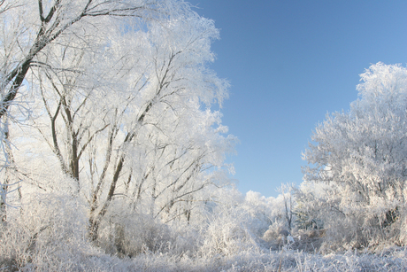 Winterland