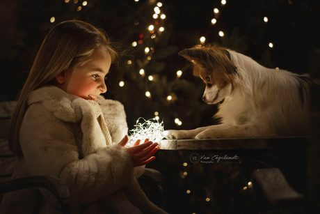 little girl and her dog