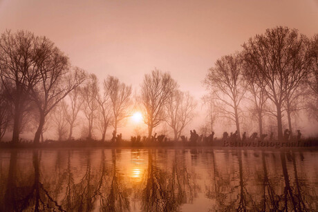 Mistige zonsopkomst vanochtend aan de linge