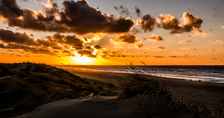 Scheveningen strand en duinen zonsondergang