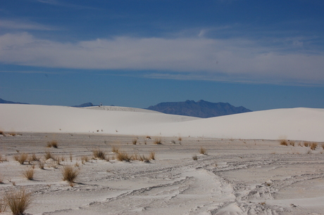 white sands