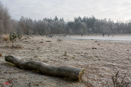 Winter op het Ganzeven