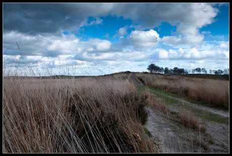 Maasduinen Noord Limburg