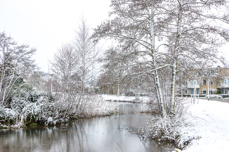 20171211_Sneeuw in de buurt_9099