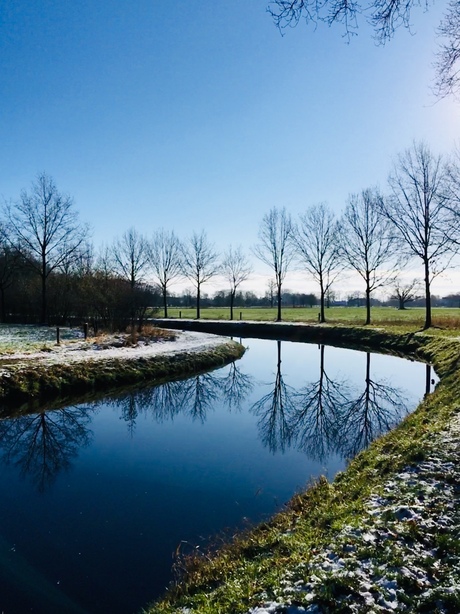 Winterochtend Weleveld