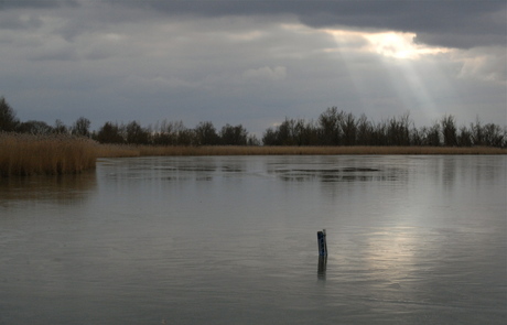 Oosvaardersplassen