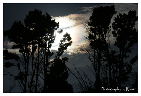 Tegenlicht, Albufeira