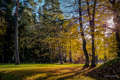 herfst.jpg