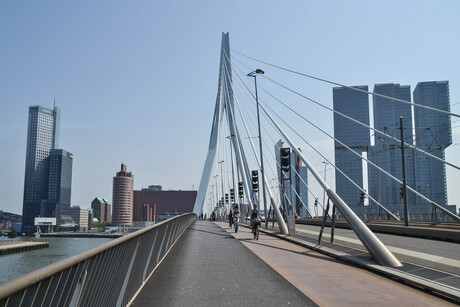 Erasmusbrug Rotterdam.