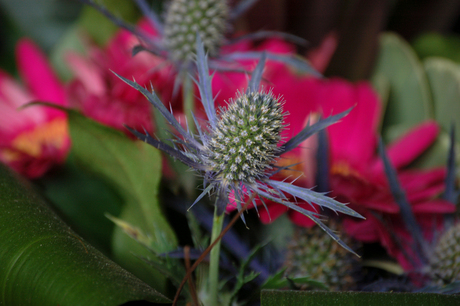 Bosje bloemen