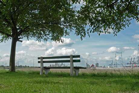 empty bench