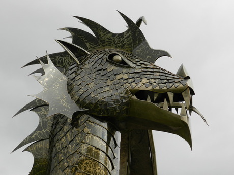 the dragon of wales