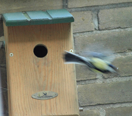 vogelhuisje