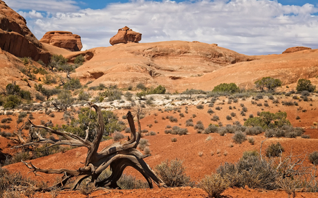 Canyonlands NP USA Utha