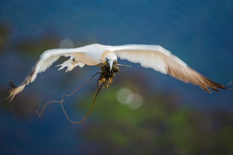 In vogelvlucht