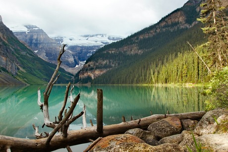 Lake Louise