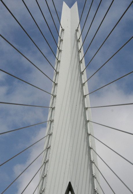 Erasmusbrug Madurodam