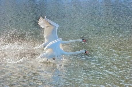 Walking on water