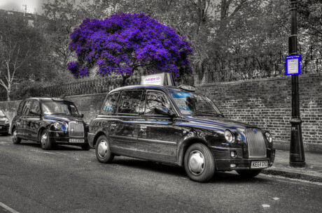 Black cab