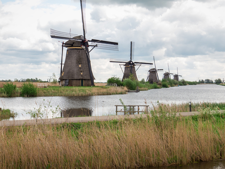 Kinderdijk