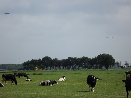 Luchtmachtdagen 2013