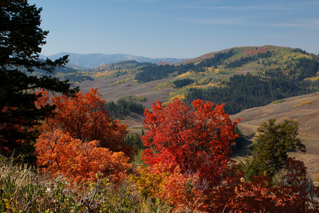 Fall Colors USA