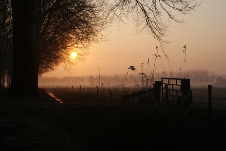 morgen rood