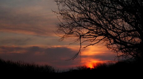 ondergaande zon in de duinen