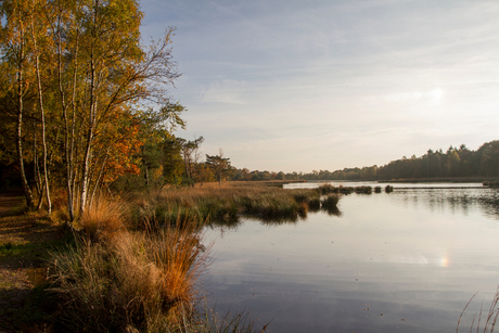 Herfst 2