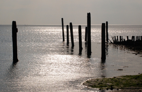 Zeezicht Texel