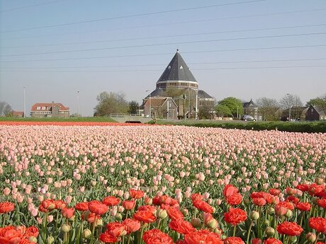Lisse, kerk Engelenbuurt.