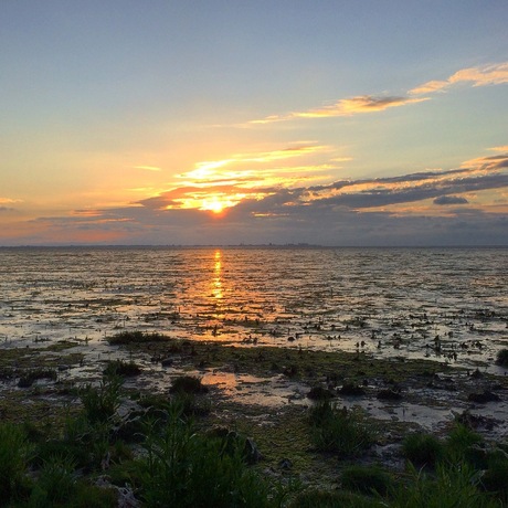 Waddenzee