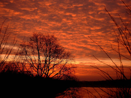 Under a bloodred sky