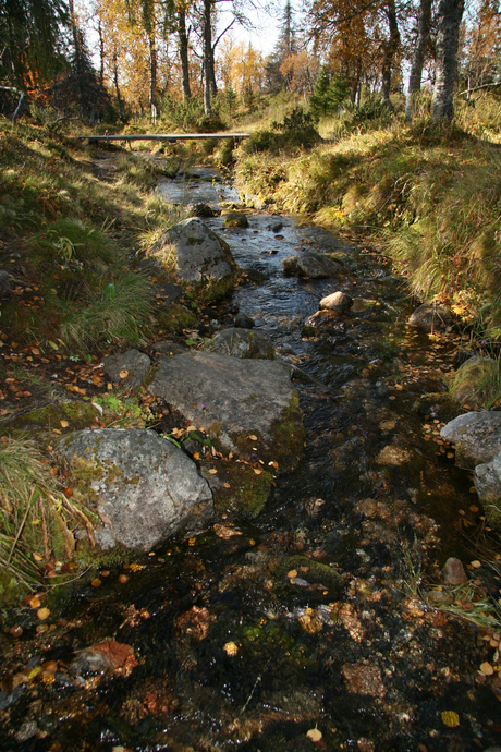 puur natuur