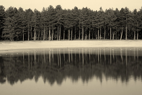 Weerspiegeling in zwart-wit