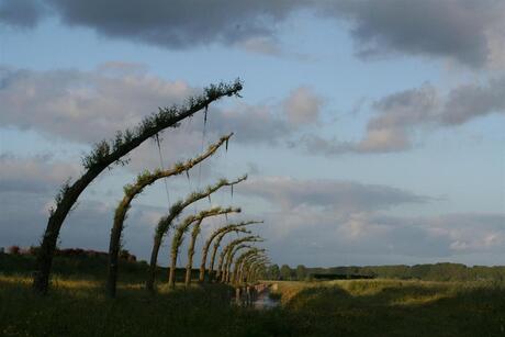 Stadsmarkering groningen