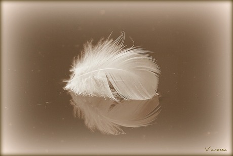 floating feather