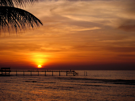 Jetty!